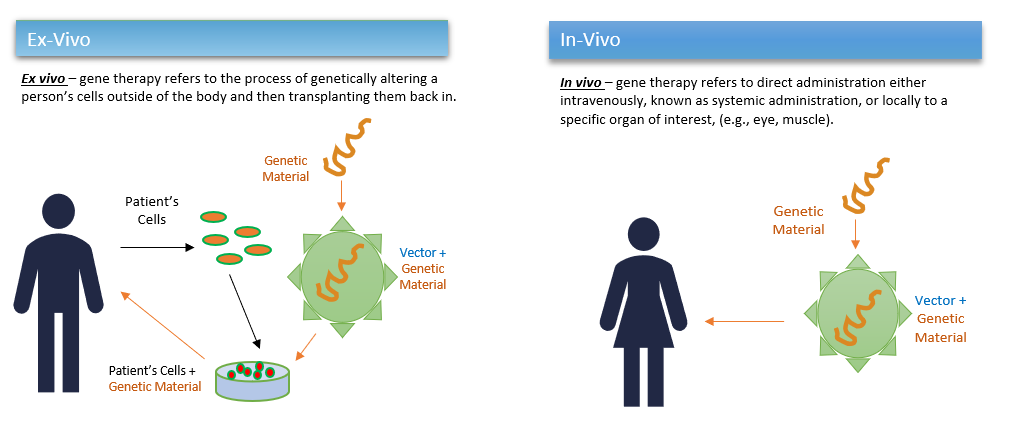 Cell Gene Therapy And Viral Vectors: How Can They Be Effective For ...